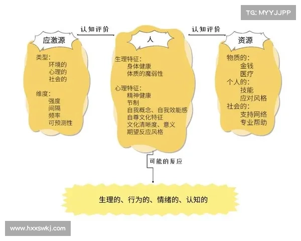 成功入选国家队的五大关键步骤及其背后深刻的训练与心理技巧解析