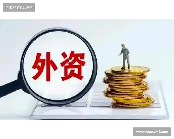 提升外资信心的五大因素 助力中国经济持续吸引外资投资