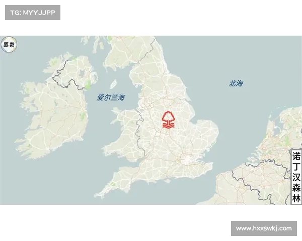 提高英超球队整体战斗力的实用策略与训练方法建议